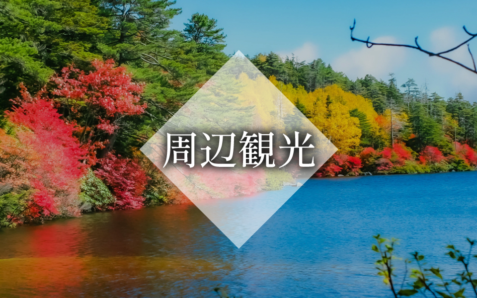 北八ヶ岳天空の森 やちほキービジュアルSP四角版