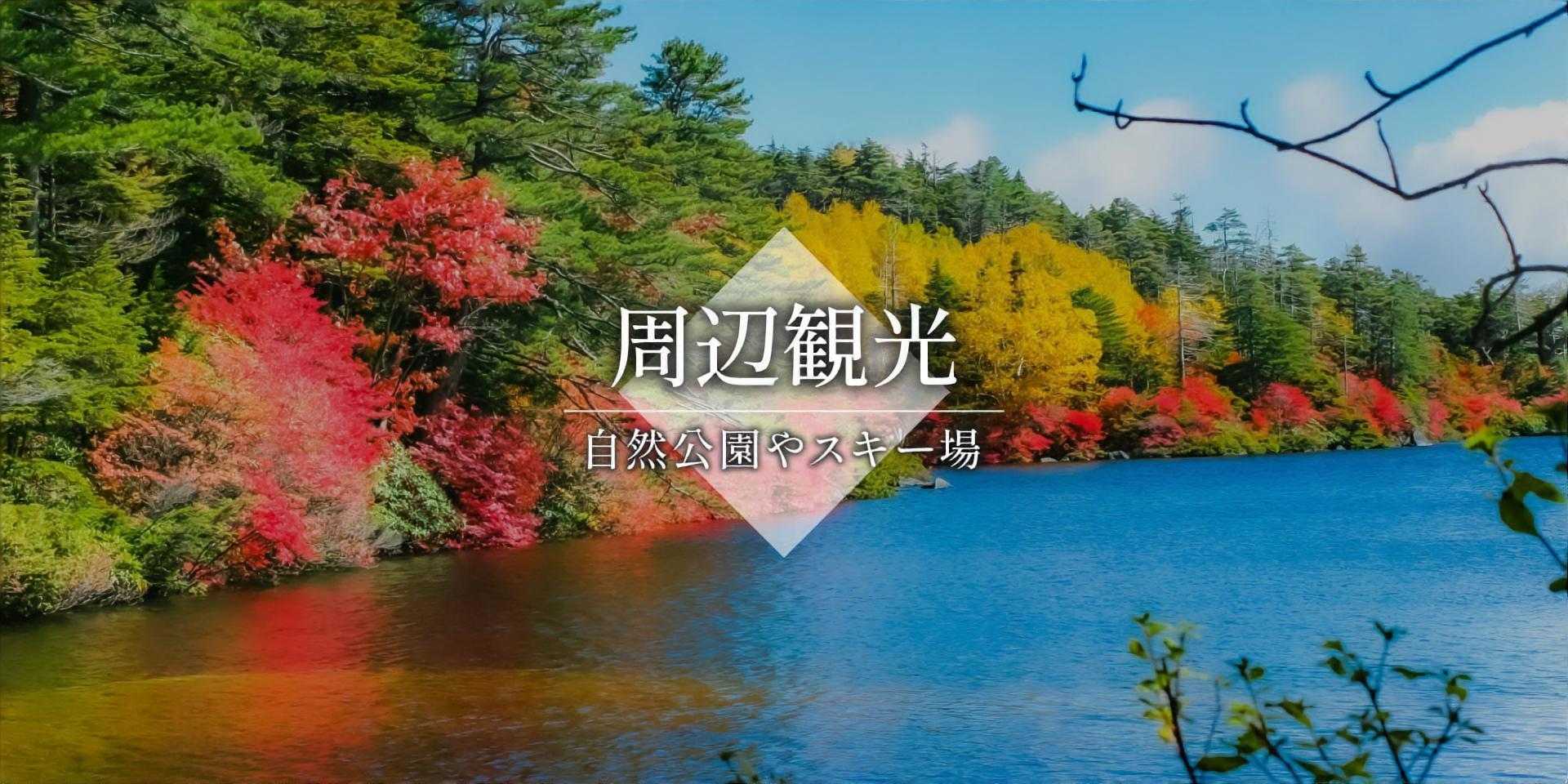 北八ヶ岳天空の森 やちほキービジュアルワイド版